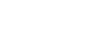 logo FlexFuel